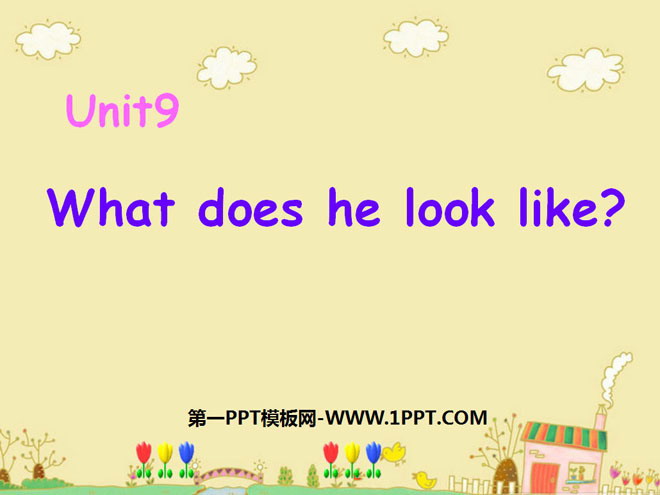 《What does he look like?》PPT课件6