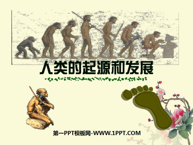《人类的起源和发展》人的由来PPT课件2