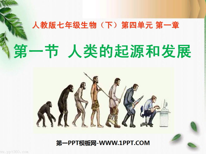 《人类的起源和发展》人的由来PPT课件4