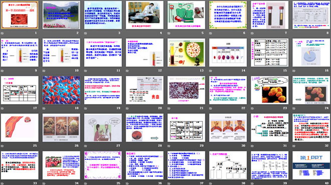 《流动的组织-血液》人体内物质的运输PPT课件