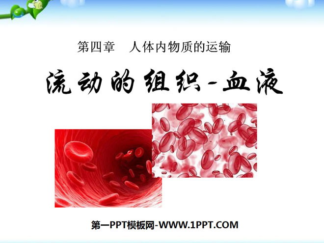 《流动的组织-血液》人体内物质的运输PPT课件4