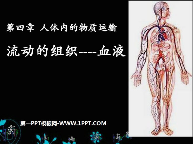 《流动的组织-血液》人体内物质的运输PPT课件5