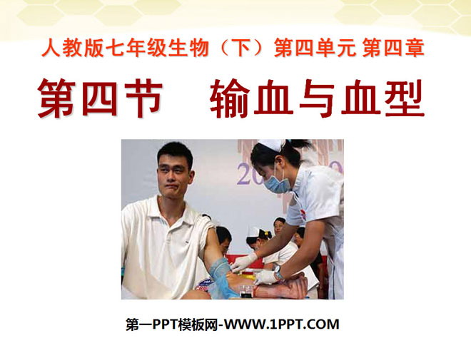 《输血与血型》人体内物质的运输PPT课件4