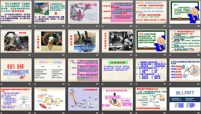 《神經調節(jié)的基本方式》人體生命活動的調節(jié)PPT課件