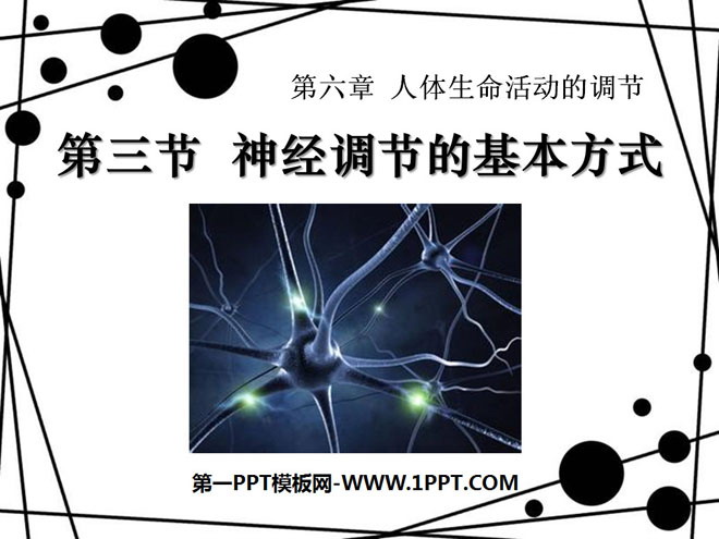 《神经调节的基本方式》人体生命活动的调节PPT课件4