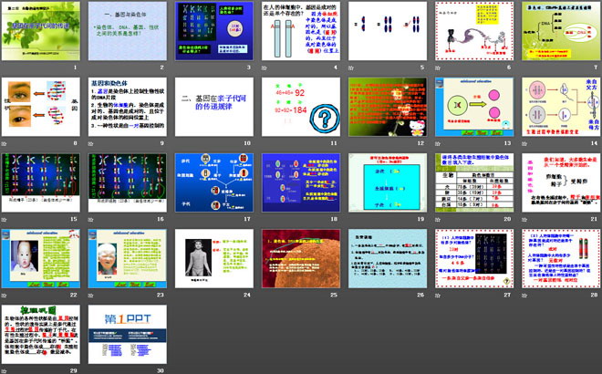 《基因在親子代間的傳遞》生物的遺傳和變異PPT課件