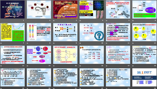 《基因在親子代間的傳遞》生物的遺傳和變異PPT課件2