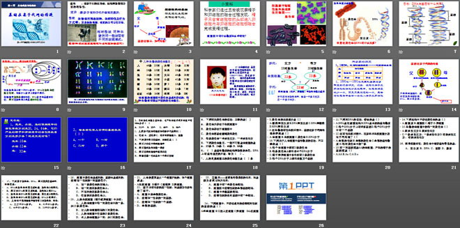 《基因在親子代間的傳遞》生物的遺傳和變異PPT課件5