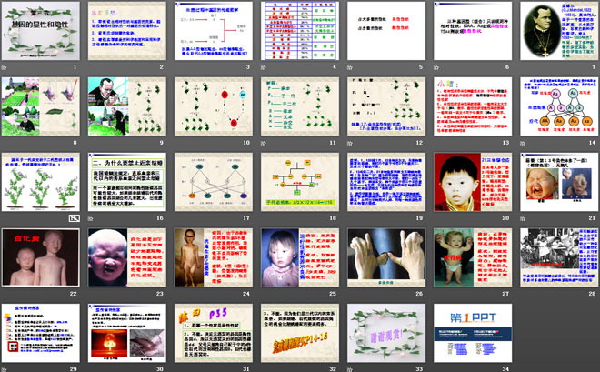 《基因的顯性和隱性》生物的遺傳和變異PPT課件4