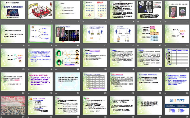 《人的性別遺傳》生物的遺傳和變異PPT課件2