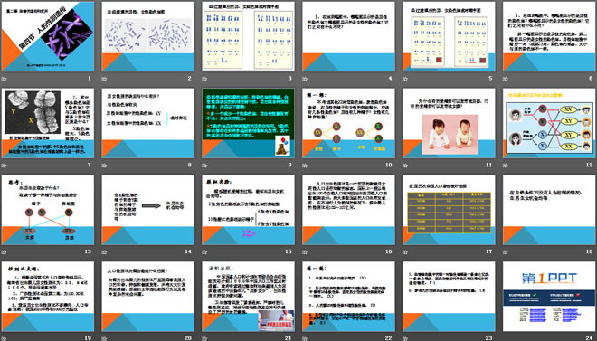 《人的性別遺傳》生物的遺傳和變異PPT課件3