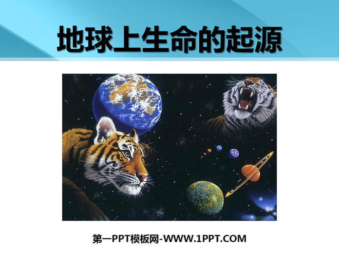 《地球上生命的起源》生物的进化PPT课件5