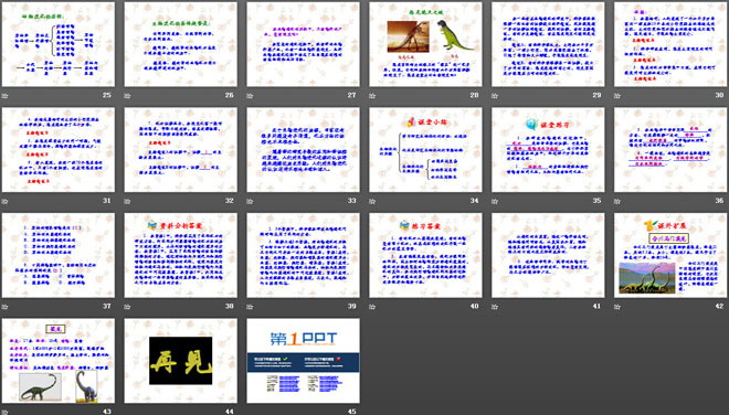 《生物進(jìn)化的歷程》生物的進(jìn)化PPT課件2