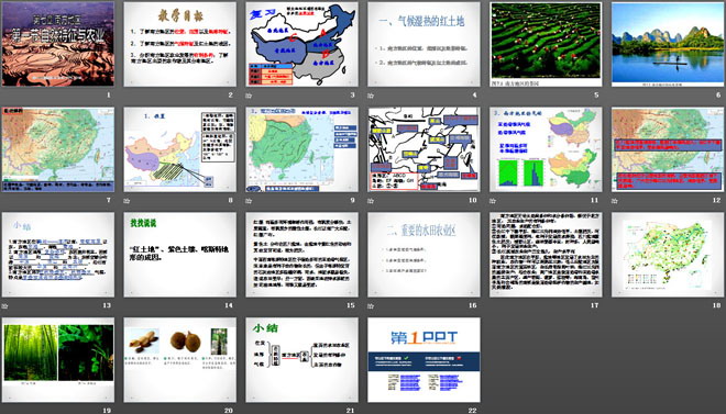 《自然特征與農(nóng)業(yè)》南方地區(qū)PPT課件2