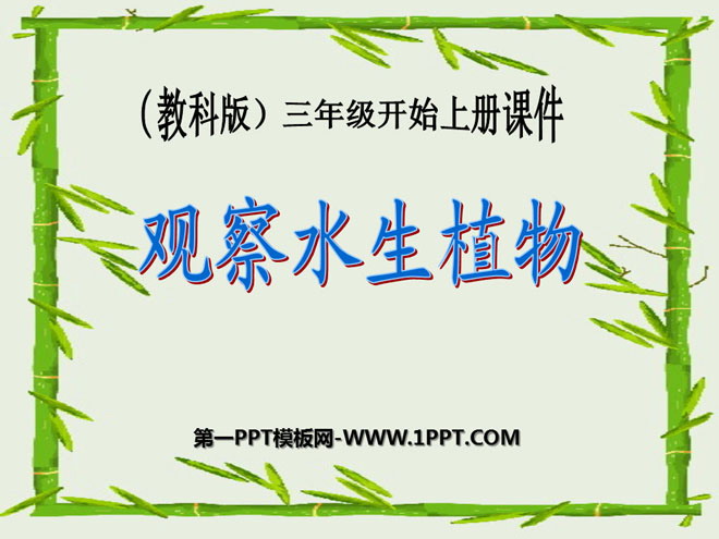 《水生植物》植物PPT课件2