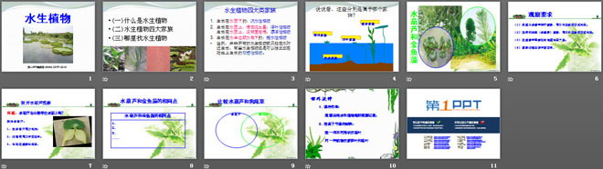 《水生植物》植物PPT課件3