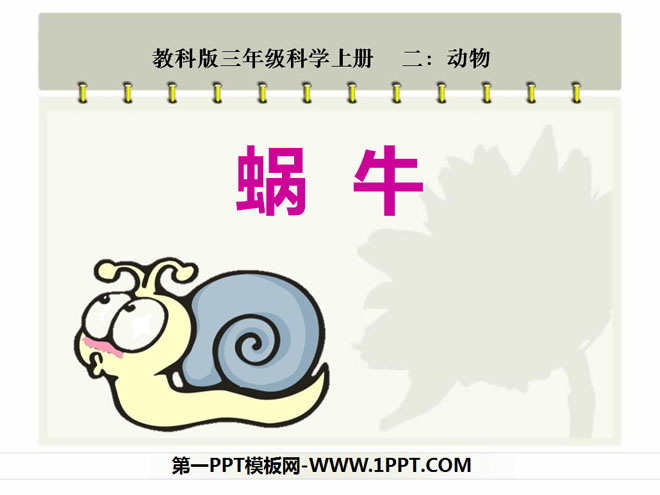《蜗牛》动物PPT课件2