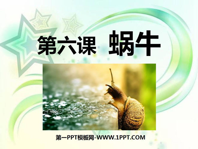 《蜗牛》动物PPT课件3