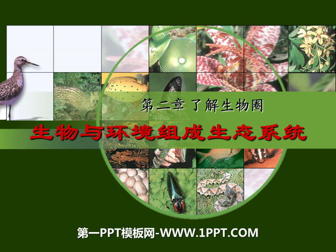 《生物与环境组成生态系统》了解生物圈PPT课件3