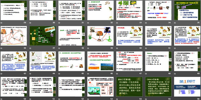 《生物與環(huán)境組成生態(tài)系統(tǒng)》了解生物圈PPT課件3