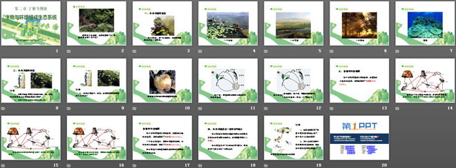 《生物與環(huán)境組成生態(tài)系統(tǒng)》了解生物圈PPT課件4