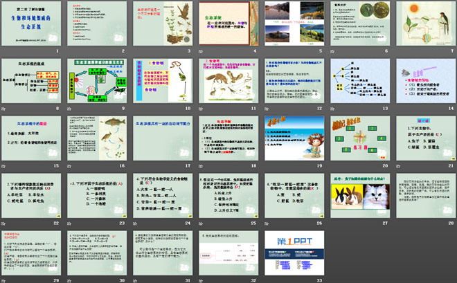 《生物與環(huán)境組成生態(tài)系統(tǒng)》了解生物圈PPT課件6