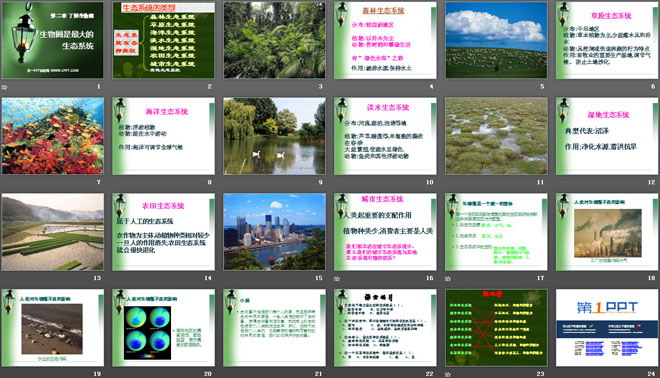 《生物圈是最大的生態(tài)系統(tǒng)》了解生物圈PPT課件6