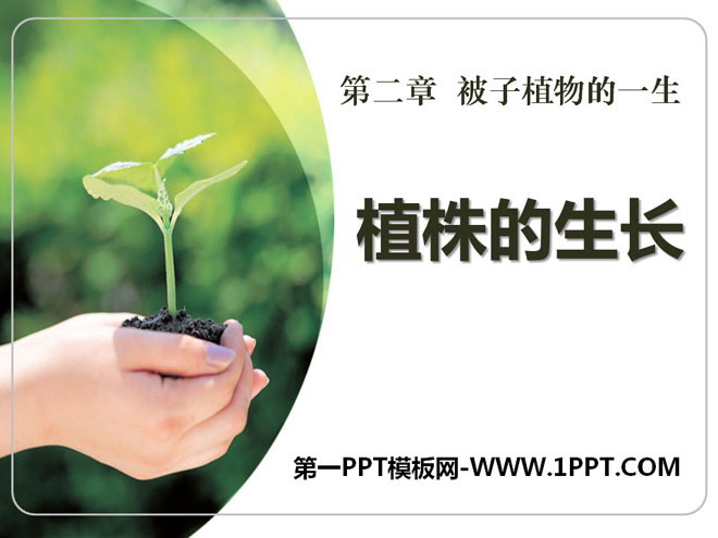 《植株的生长》被子植物的一生PPT课件5