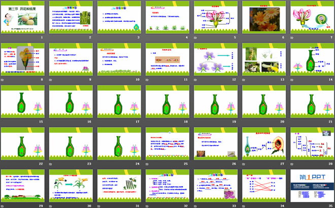 《開花和結(jié)果》被子植物的一生PPT課件2