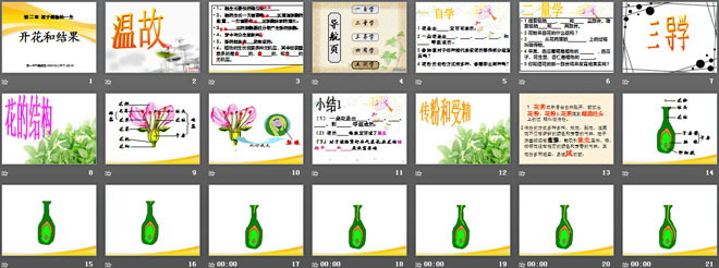 《開花和結(jié)果》被子植物的一生PPT課件5