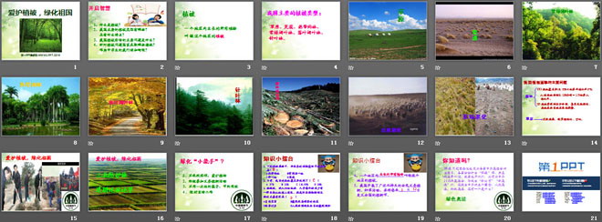 《愛護植被，綠化祖國》PPT課件5
