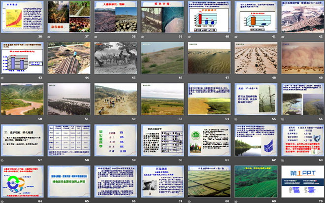 《愛護(hù)植被，綠化祖國》PPT課件6