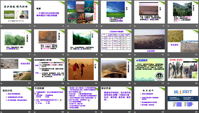 《愛護(hù)植被，綠化祖國(guó)》PPT課件7