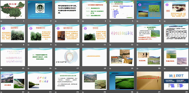 《愛(ài)護(hù)植被，綠化祖國(guó)》PPT課件8