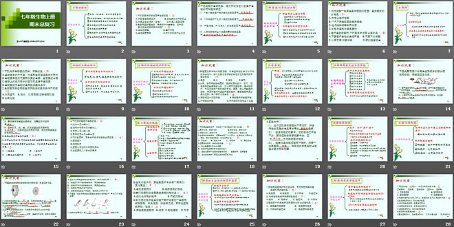 《七年級(jí)生物上冊(cè)總復(fù)習(xí)》PPT課件