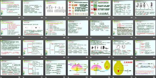 《七年級(jí)生物上冊(cè)總復(fù)習(xí)》PPT課件