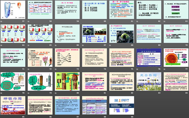 《七年級生物上冊總復習》PPT課件2