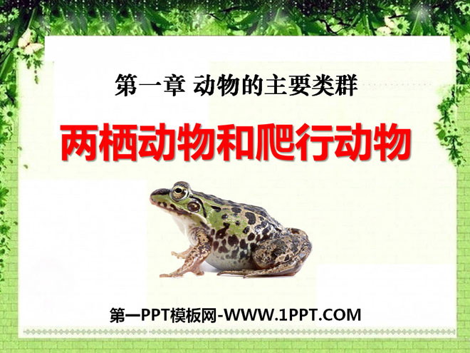 《两栖动物和爬行动物》动物的主要类群PPT课件2