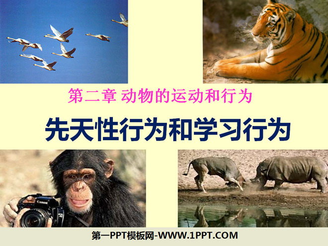 《先天性行为和学习行为》动物的运动和行为PPT课件6