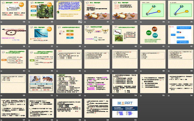 《社會行為》動物的運(yùn)動和行為PPT課件