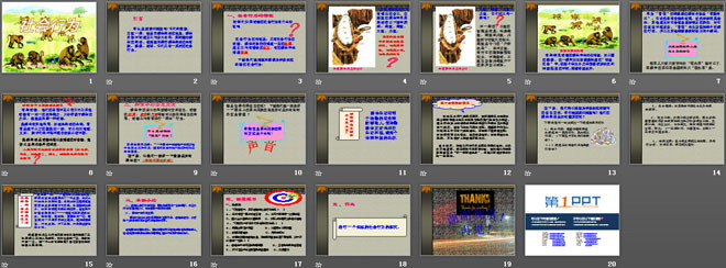 《社會行為》動物的運動和行為PPT課件3