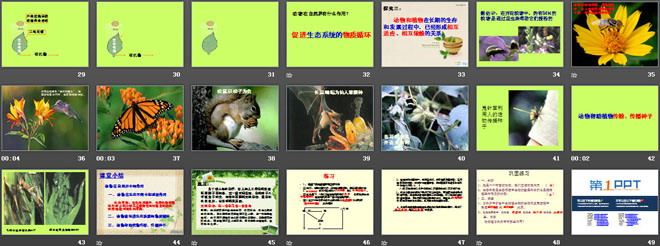 《動(dòng)物在生物圈中的作用》PPT課件8