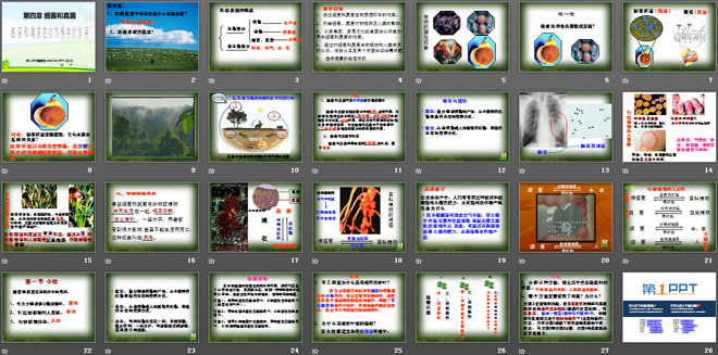 《細(xì)菌和真菌在自然界中的作用》細(xì)菌和真菌PPT課件4