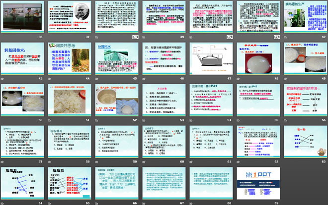 《人類對細菌和真菌的利用》細菌和真菌PPT課件3