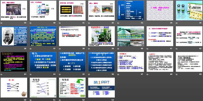 《人類對細(xì)菌和真菌的利用》細(xì)菌和真菌PPT課件6
