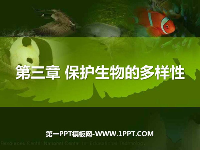 《保護(hù)生物的多樣性》PPT課件2