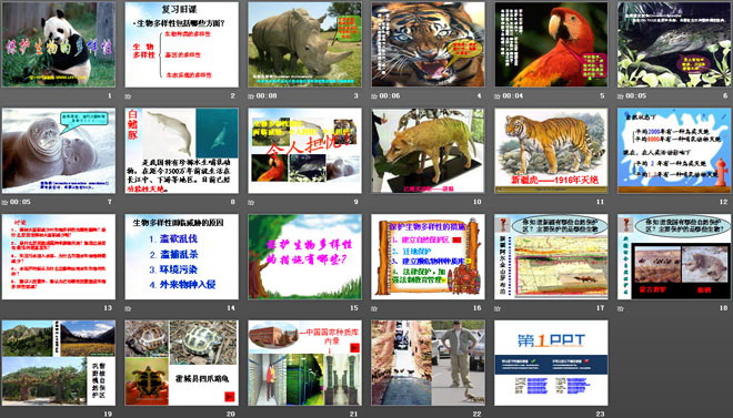 《保護(hù)生物的多樣性》PPT課件4