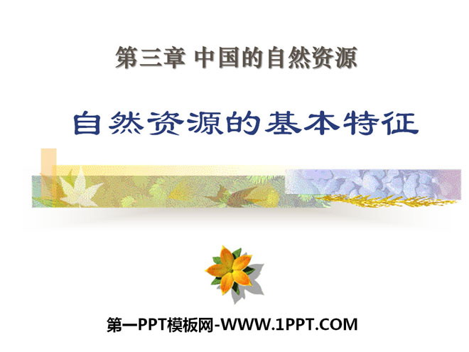 《自然资源的基本特征》中国的自然资源PPT课件6