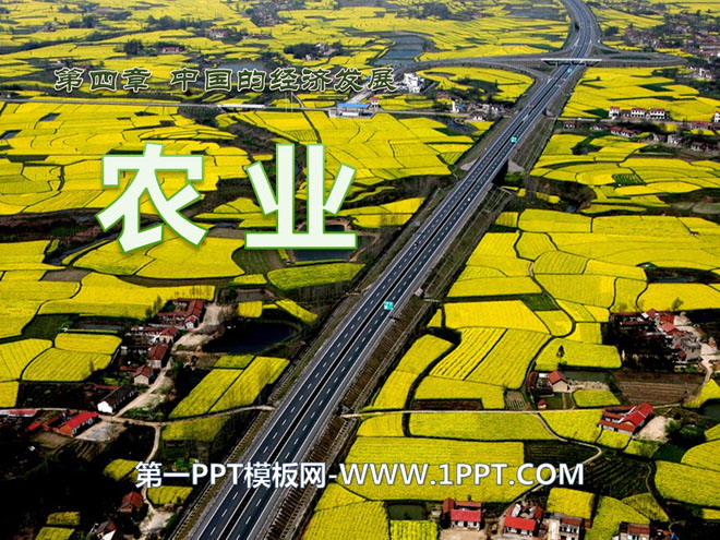 《农业》中国的经济发展PPT课件2