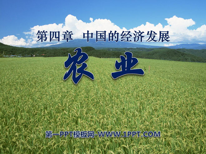 《农业》中国的经济发展PPT课件4